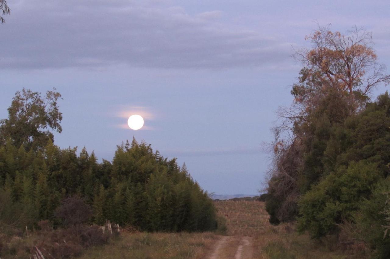 El Rancho De Chispero Διαμέρισμα Isla Patrulla Εξωτερικό φωτογραφία