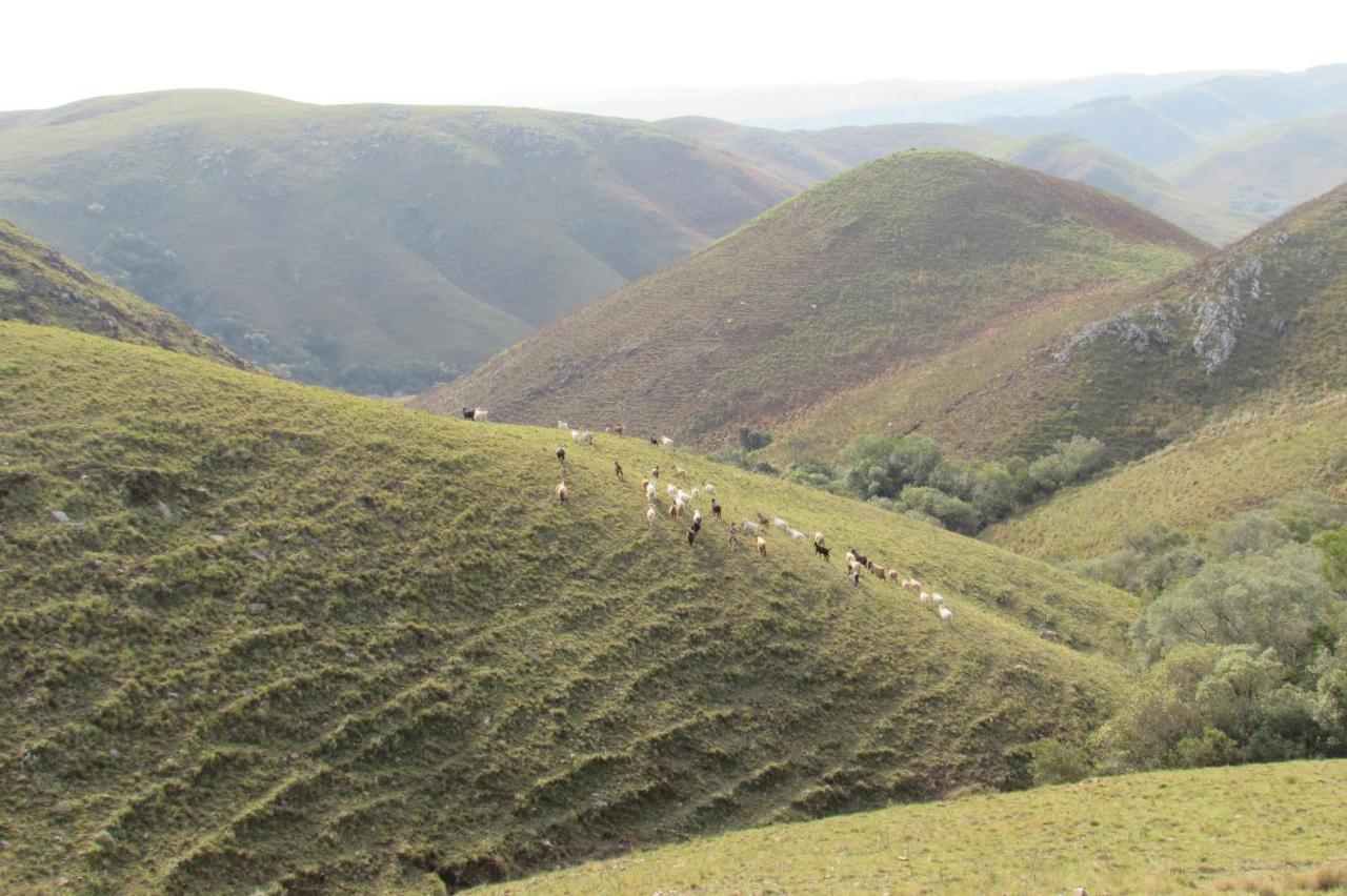 El Rancho De Chispero Διαμέρισμα Isla Patrulla Εξωτερικό φωτογραφία