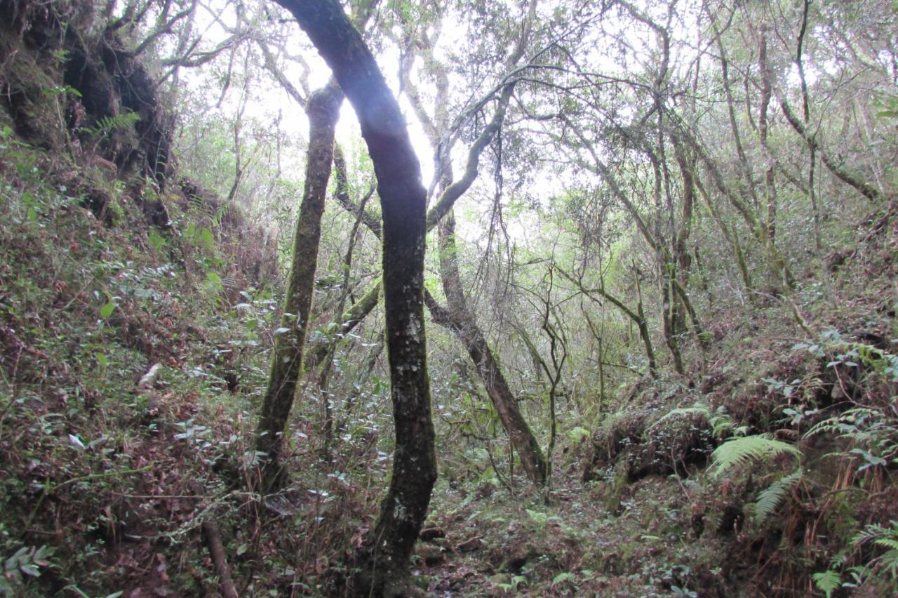 El Rancho De Chispero Διαμέρισμα Isla Patrulla Εξωτερικό φωτογραφία